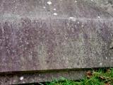 image of grave number 948309